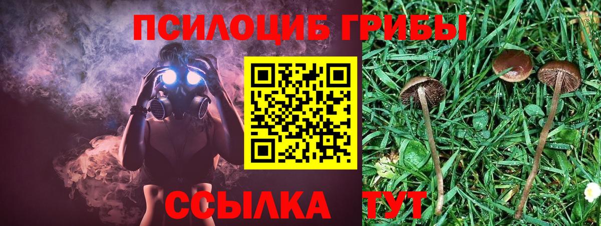 КОКАИН Реутов