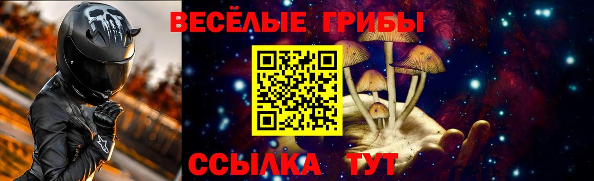 Реутов  Галлюциногенные грибы Psilocybe  Вход с VPN  Псилоцибиновые грибы Psilocybine cubensis 